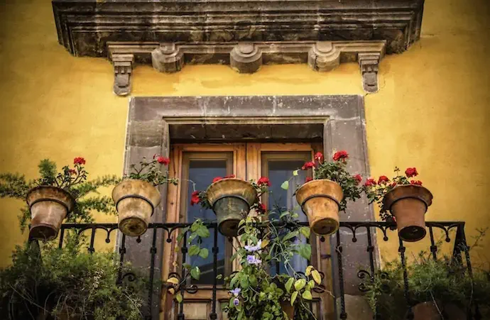 Foto: JuanSalvador/Shutterstock