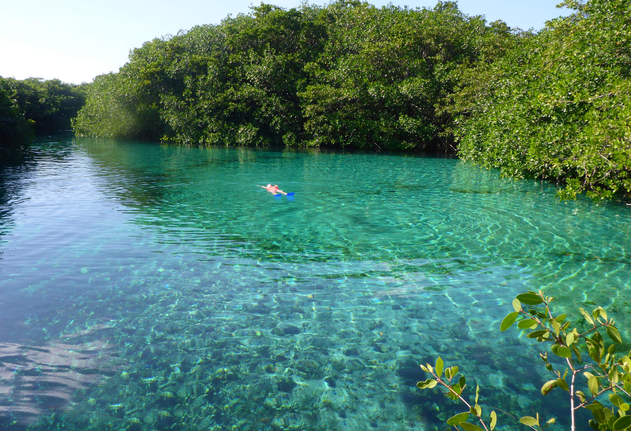 Cenote-Jardin-Del-Eden