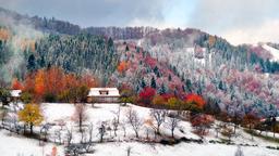 Hoteles en Montes Cárpatos