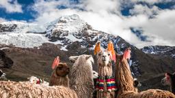 Alquileres vacacionales - Cusco