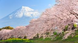 Alquileres vacacionales - Prefectura de Tokio