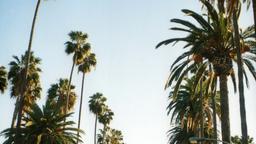 Hoteles en West Hollywood