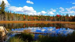Hoteles en Muskoka, Sonda de Parry y Parque Algonquin