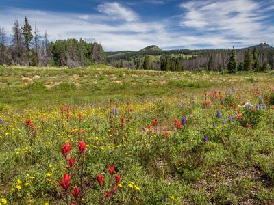 Steamboat Springs