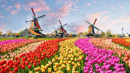 Hoteles en Holanda Septentrional