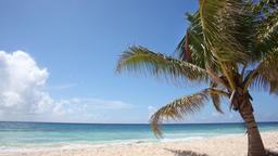 Hoteles en Trelawny