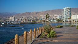 Encuentra vuelos en Clase Ejecutiva a Antofagasta