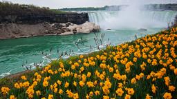 Hoteles en Canadá