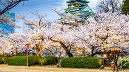 Busca vuelos baratos a Osaka Kansai Intl