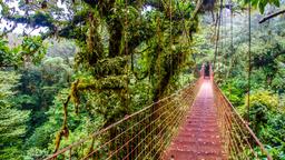 Hoteles en Parque Nacional Volcán Arenal