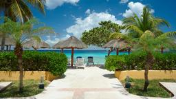 Encuentra vuelos baratos de Estados Unidos a Cozumel
