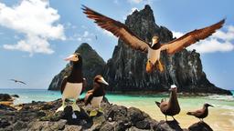 Hoteles cerca de Aeropuerto de Fernando De Noronha