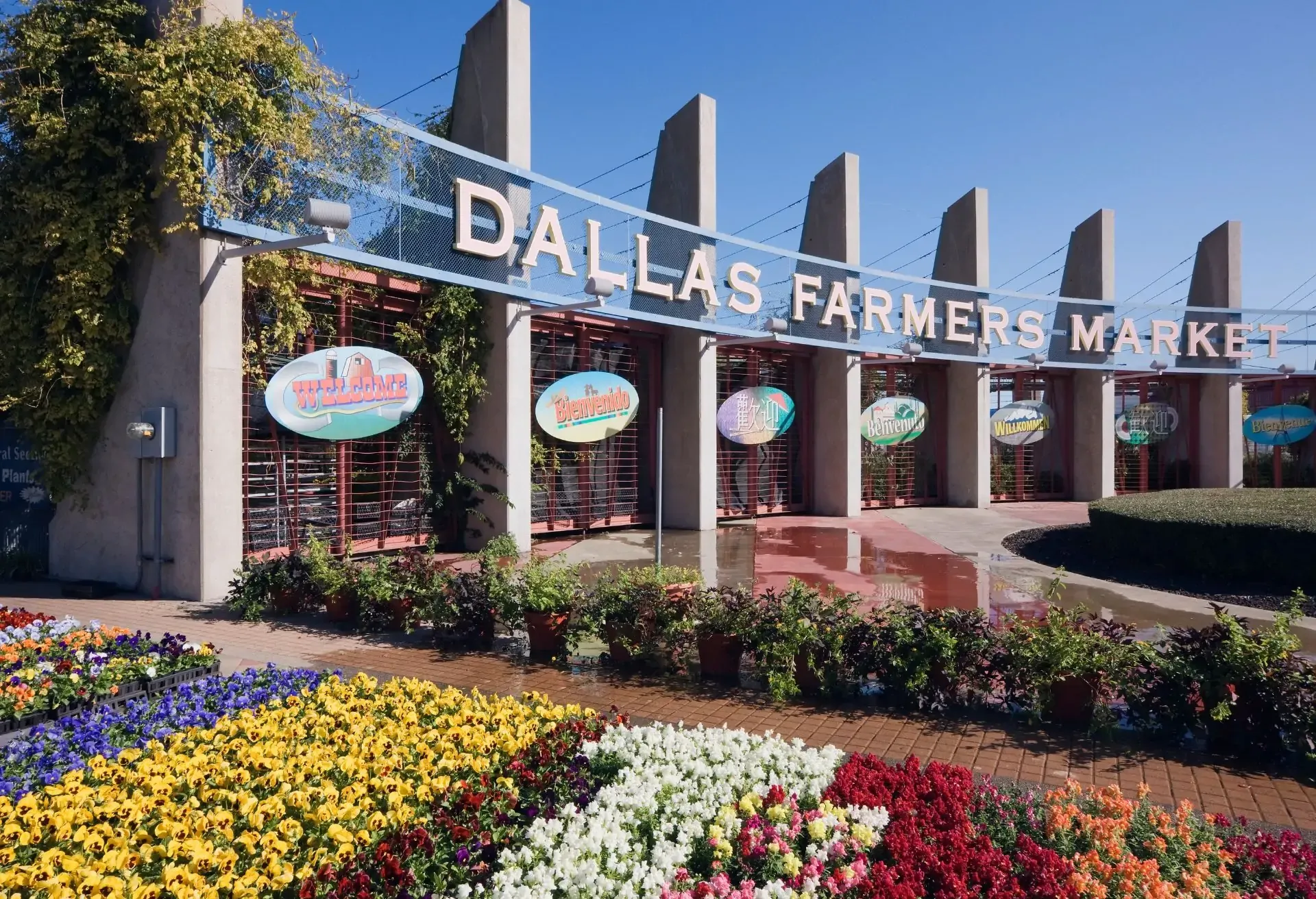 flexi__explore-dallas_card-4_1920x1920_worldcupxcitygoals_sub-usa