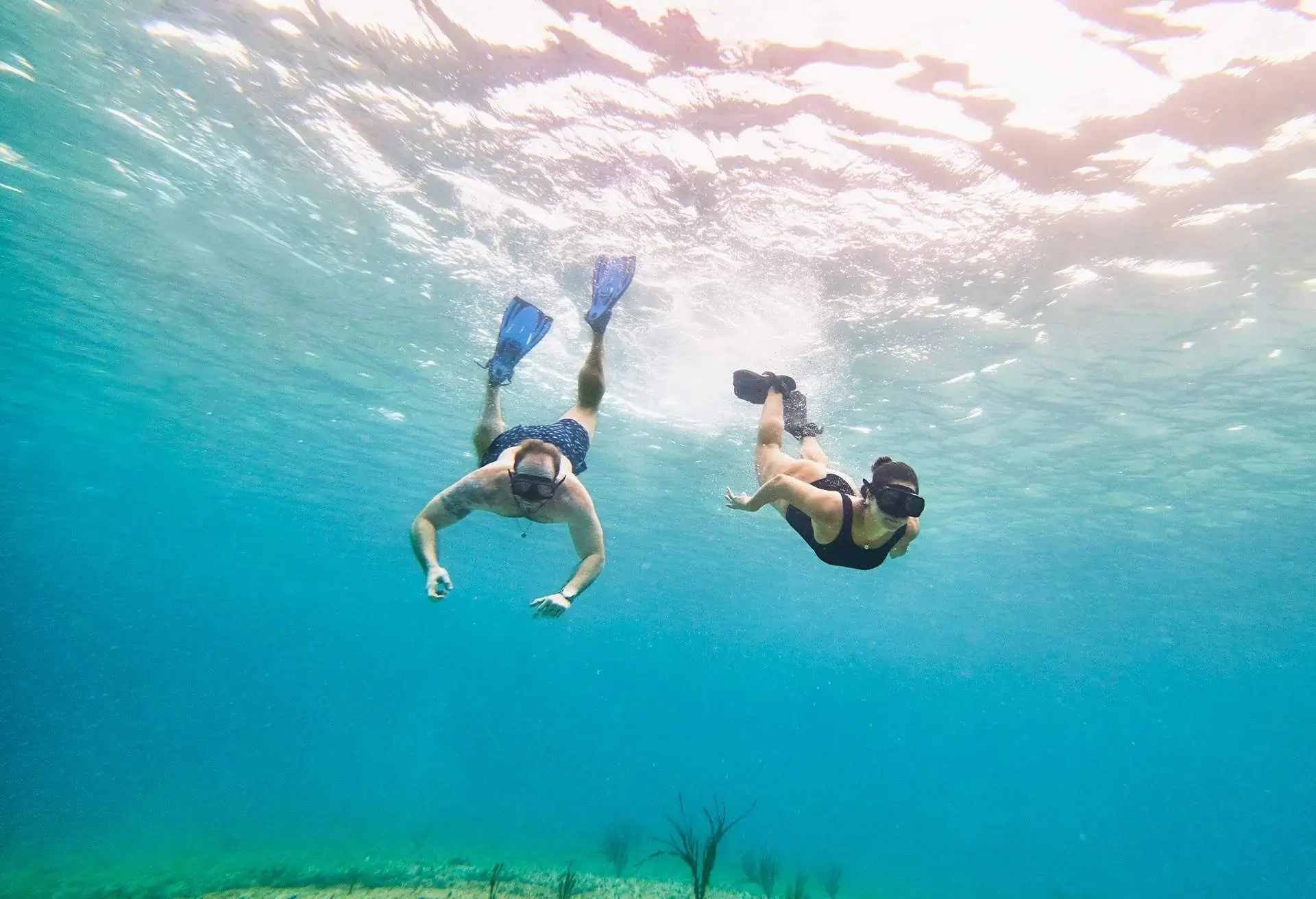 discover-free-diving_