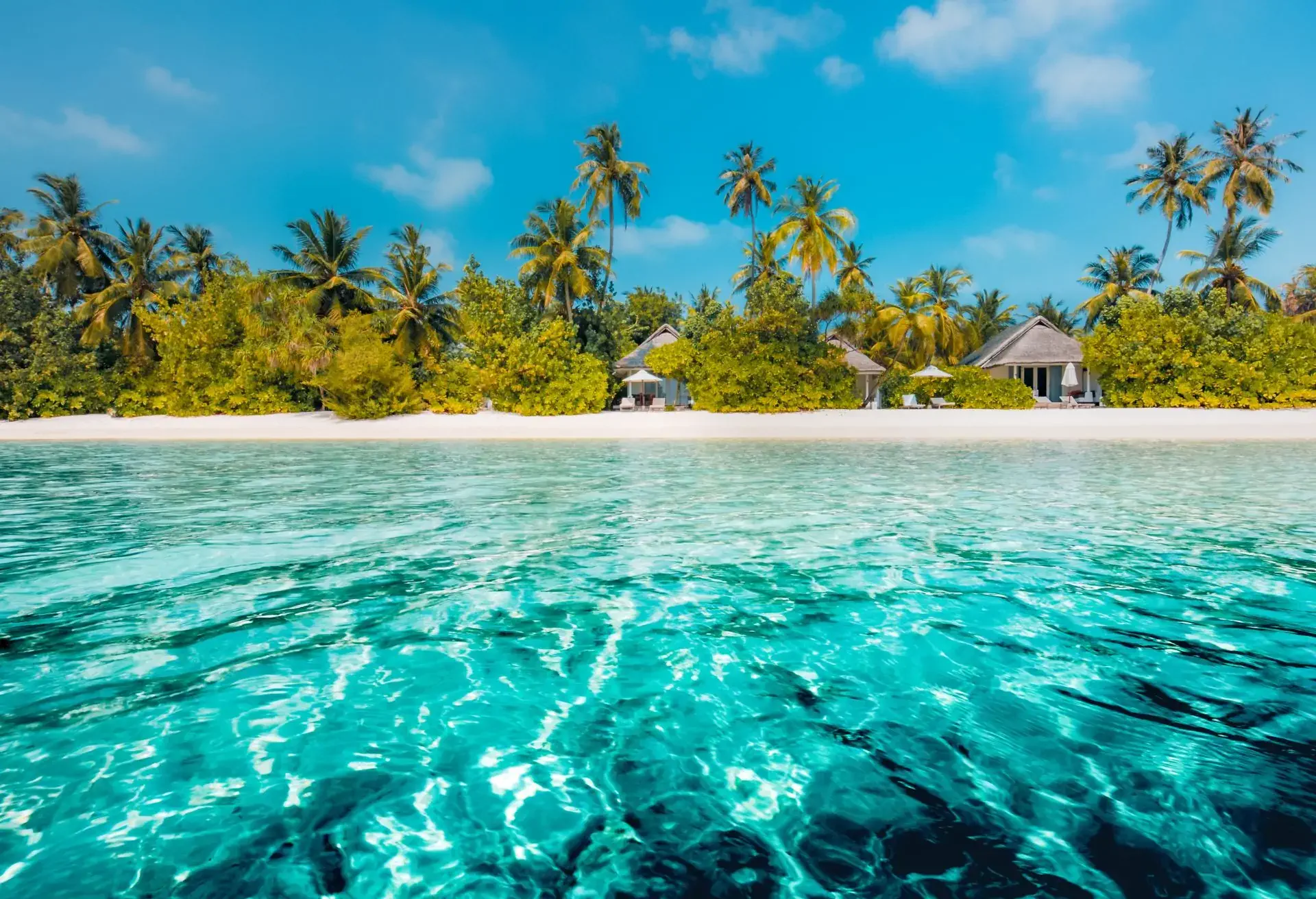 Aguas turquesas y cabañas frente a la playa rodeadas de palmeras tropicales, destino vacacional de ensueño.