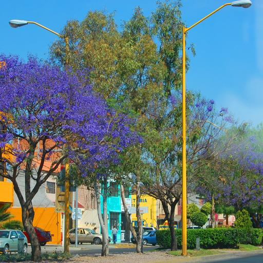Aguascalientes