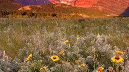 Hoteles en Glacier National Park