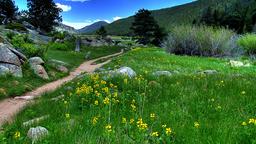 Hoteles en Rocky Mountain National Park