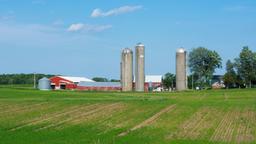 Busca vuelos baratos a Wisconsin