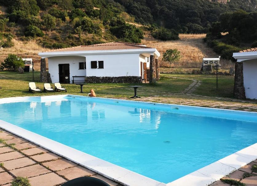 Alberca Foto