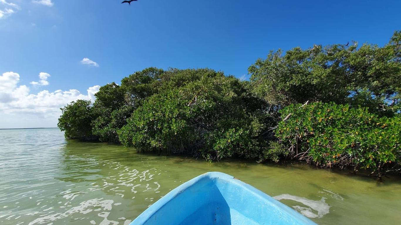 Hotel Cielo y Selva