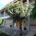 Vista del exterior