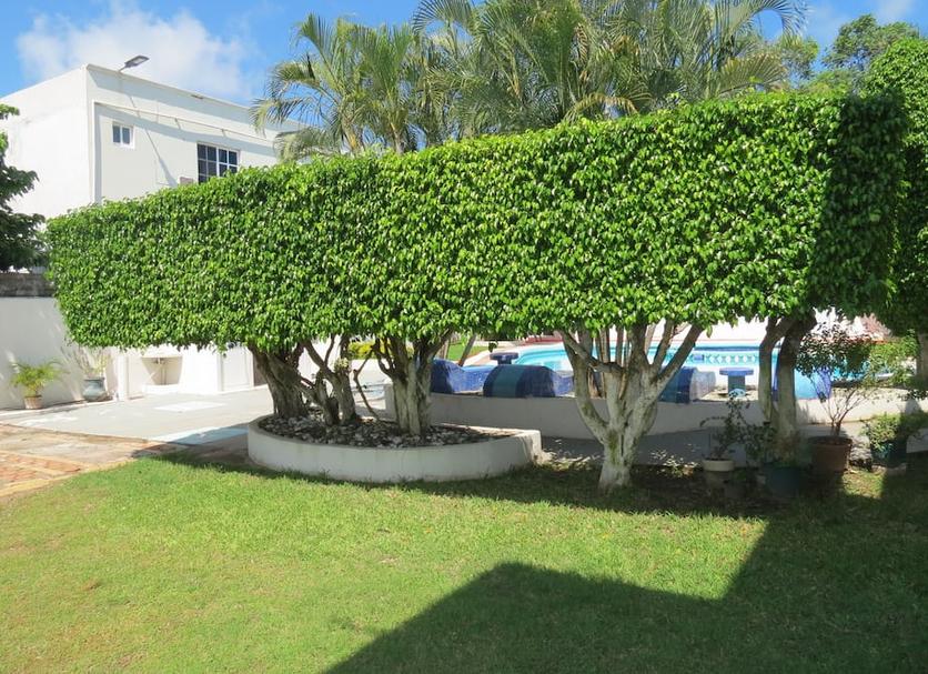 Vista del exterior Foto