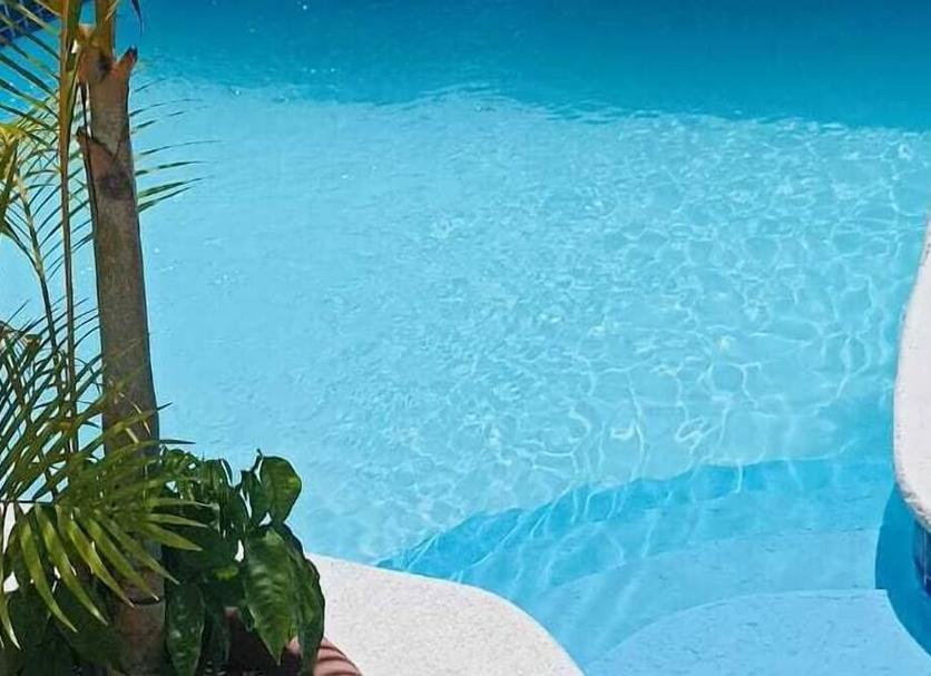 Alberca Foto