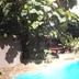 Alberca