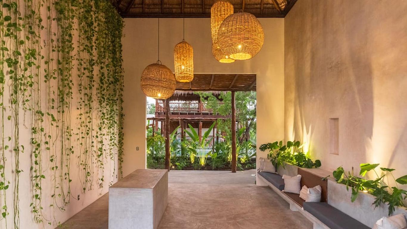 Zenses Wellness and Yoga Resort - Adults Only
