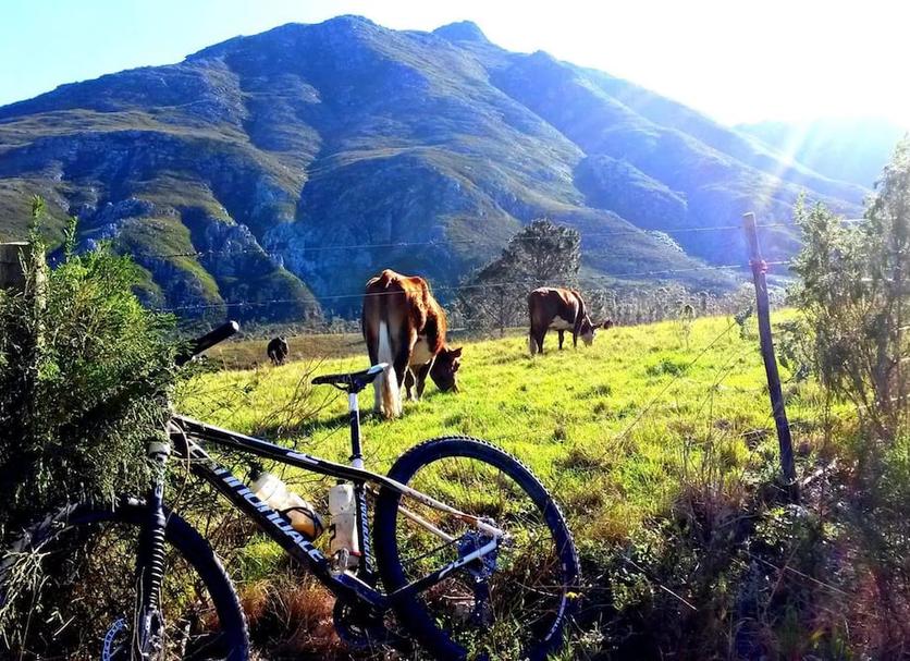 Otro Foto