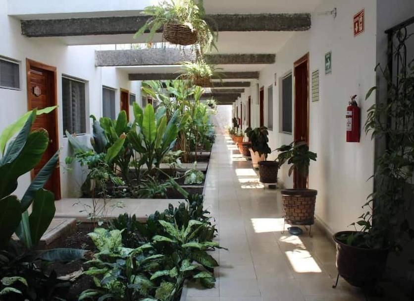 Vista del exterior Foto