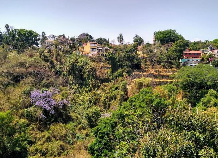 Vista del exterior Foto