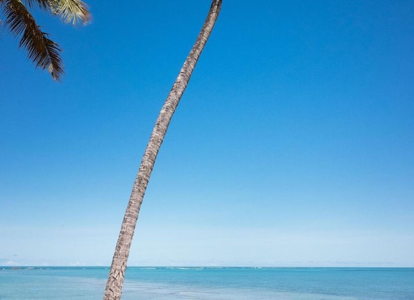 Playa Foto