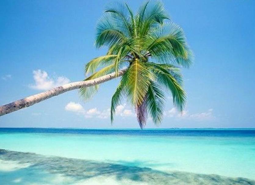 Playa Foto