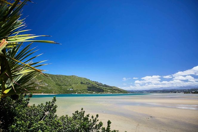 Under Milkwood Resort