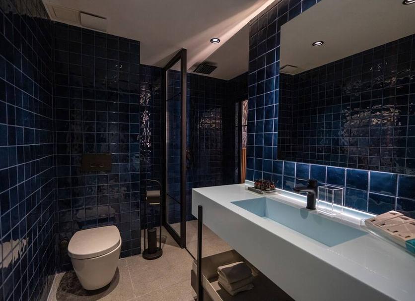 Baño Foto