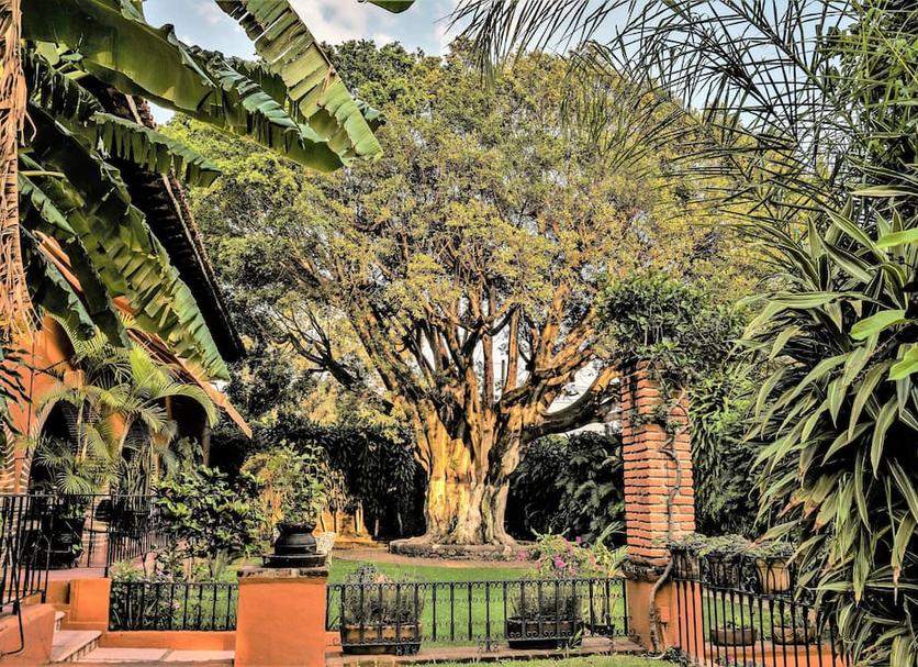 Vista del exterior Foto