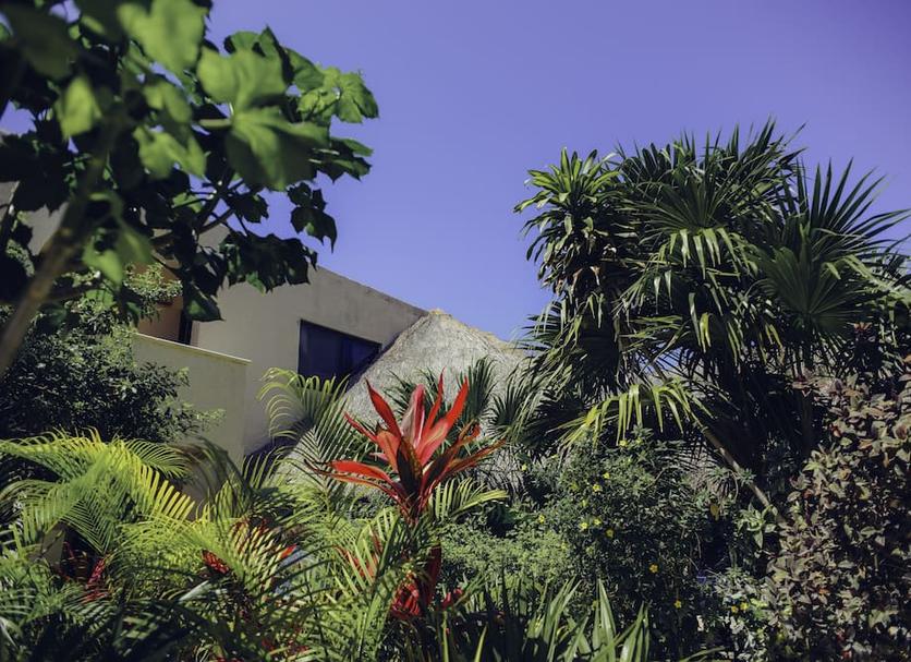 Vista del exterior Foto