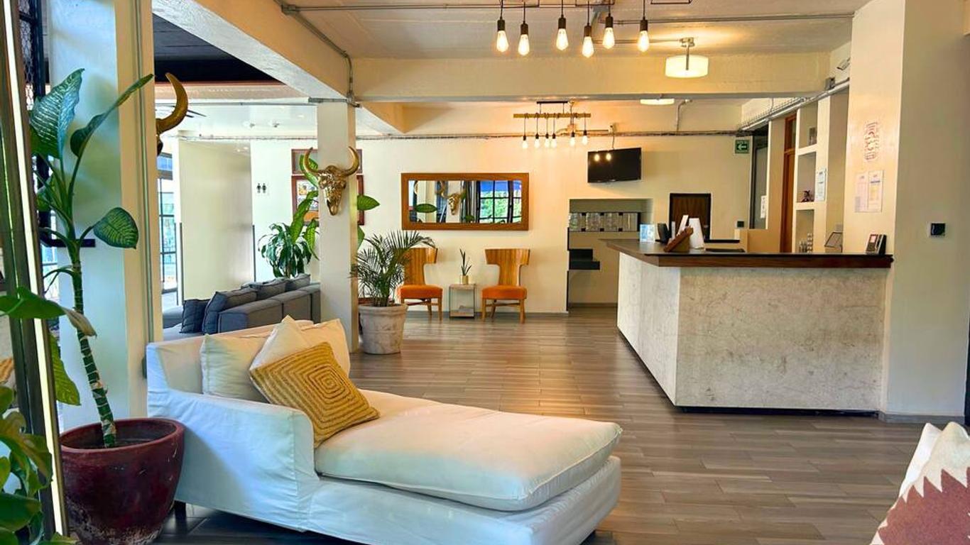 Joint Boutique Hotel Zona Romantica
