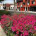 Vista del exterior