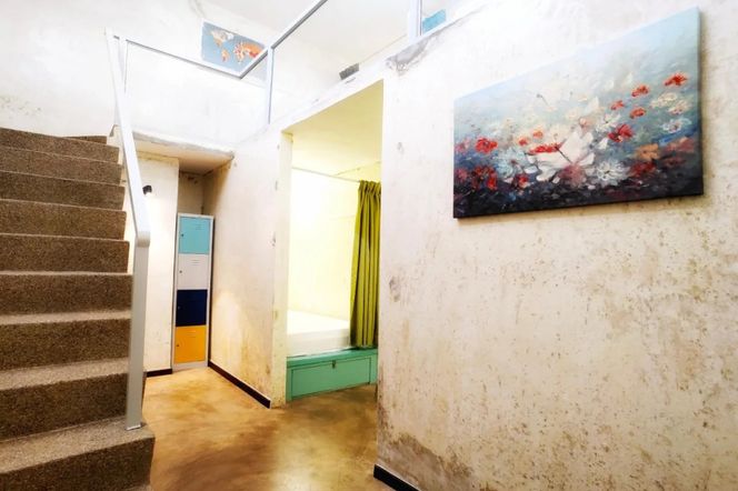 Beds In Garden Hostel