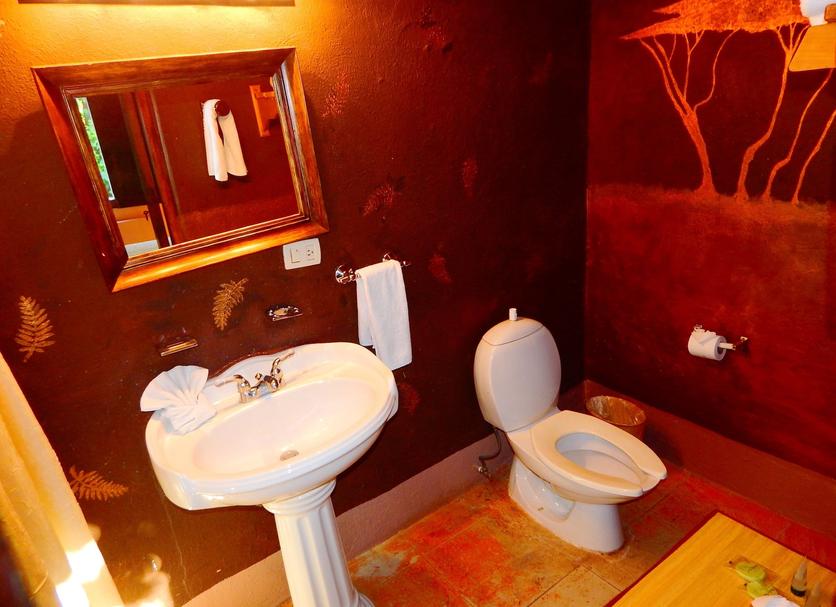 Baño Foto